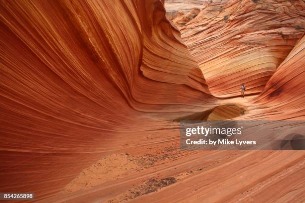 the wave entrance pool with hiker for scale - the wave coyote buttes stock pictures, royalty-free photos & images