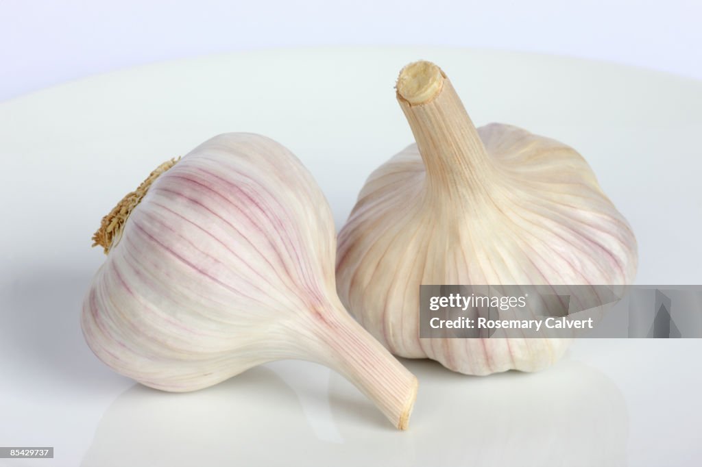 Two bulbs of garlic in close up