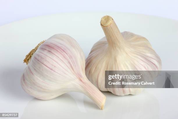 two bulbs of garlic in close up - ajo fotografías e imágenes de stock