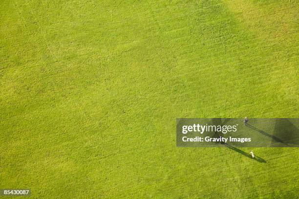 aerial view of large green lawn, people and dog - grass overhead stock pictures, royalty-free photos & images