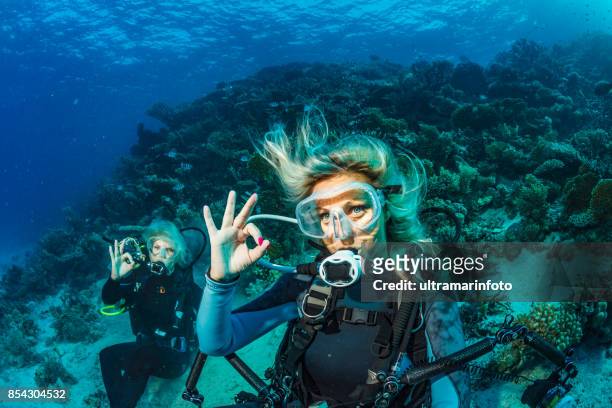 scuba diver ist erforschen und genießen korallenriff meeresleben zwei paar sportliche frauen unterwasser fotograf - sport tauchen stock-fotos und bilder