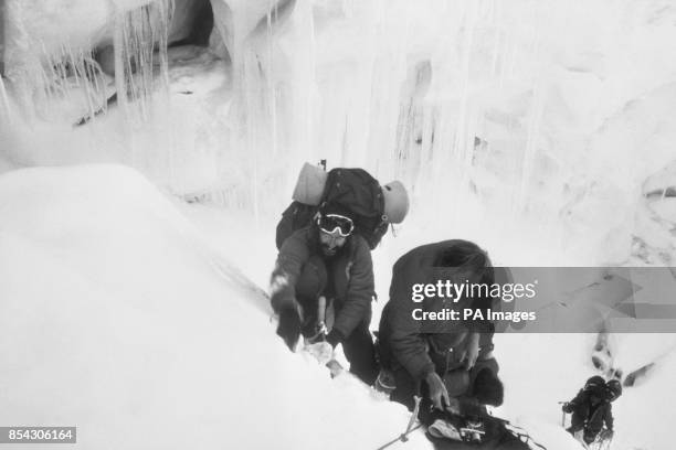 37 Hamish Innes Stock Photos, High-Res Pictures, and Images - Getty Images