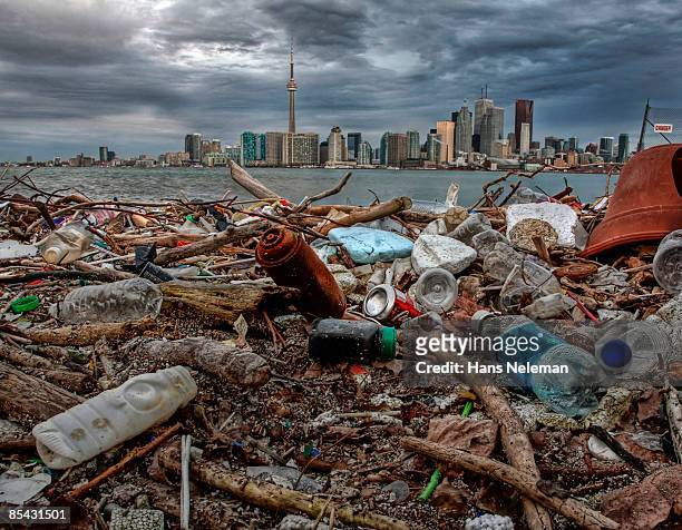 garbage washed ashore on ward island, toronto  - wasserverschmutzung stock-fotos und bilder