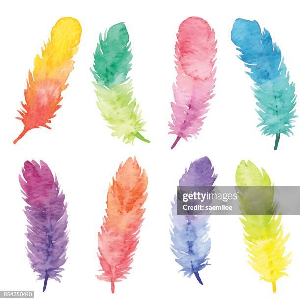 stockillustraties, clipart, cartoons en iconen met aquarel kleurrijke veren - feather