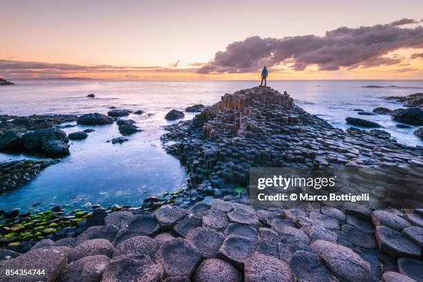 tourist at the giant's causeway, northern ireland. - giants causeway stock-fotos und bilder