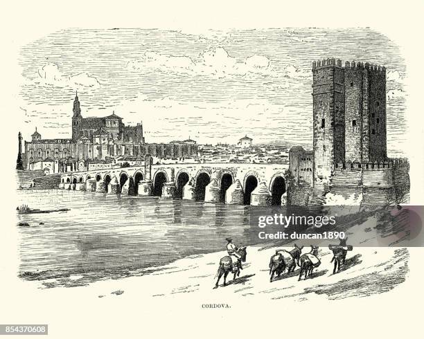 stockillustraties, clipart, cartoons en iconen met de romeinse brug over de guadalquivir, cordoba, spanje - roman bridge