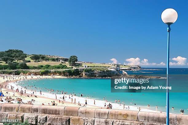 coogee beach - playa coogee fotografías e imágenes de stock