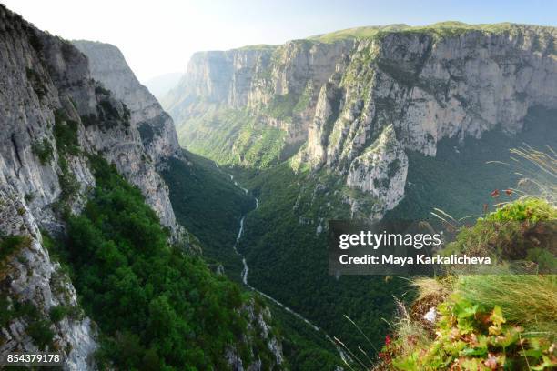 vikos canyon, deepest gorge in europe, zagoria / epirus, greece - epirus greece fotografías e imágenes de stock