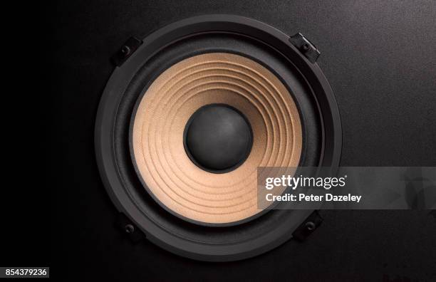 bass loudspeaker with copy space - equipo de alta fidelidad fotografías e imágenes de stock