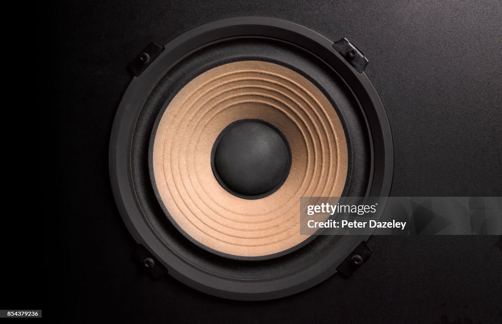 BASS LOUDSPEAKER WITH COPY SPACE
