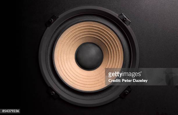 bass loudspeaker with copy space - loudspeaker stock pictures, royalty-free photos & images