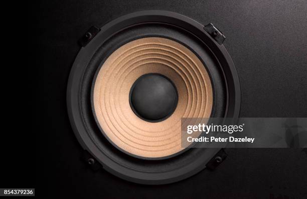 bass loudspeaker with copy space - 位於中心 個照片及圖片檔