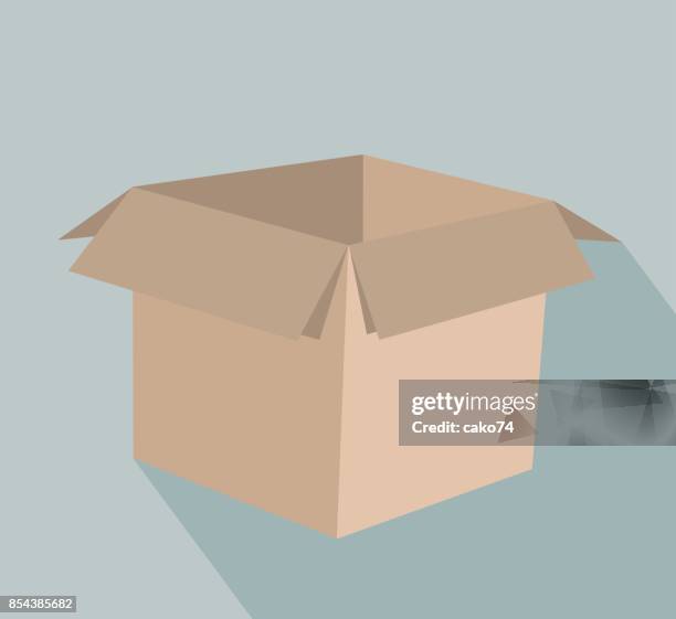 vector cardboard box - open cardboard box stock illustrations