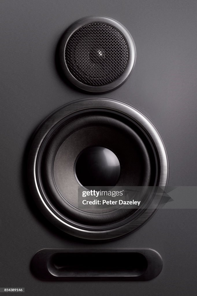 UPRIGHT LOUDSPEAKER