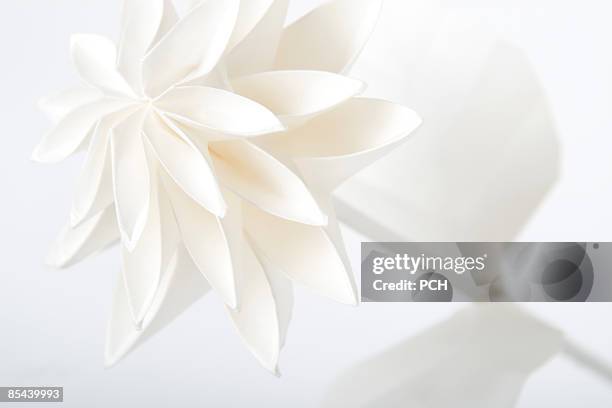 hi-key flower - paper flower stock-fotos und bilder