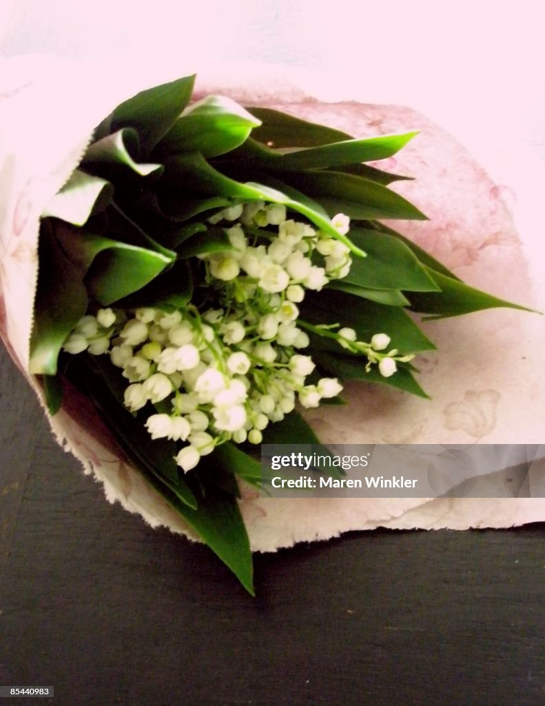 Convallaria majalis