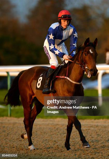 Silver Songstress ridden by jockey Sam Twiston-Davies goes to post in the Greyhound Pub Lingfield 'Junior' Standard Open NH Flat Race