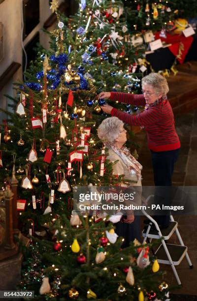 Sheila Smith and Pat Dean from the Mothers Union, at St Paul&Otilde;s Church in Bedford, makes some final adjustments to Christmas trees ahead of the...