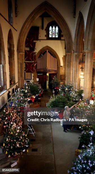 Sheila Smith and Pat Dean from the Mothers Union, at St Paul&Otilde;s Church in Bedford, makes some final adjustments to Christmas trees ahead of the...