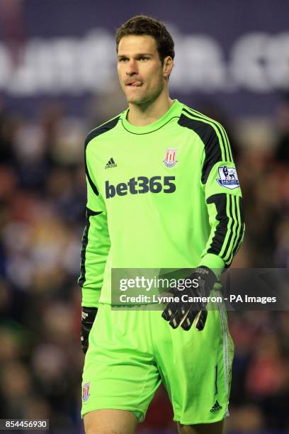 Asmir Begovic, Stoke City goalkeeper