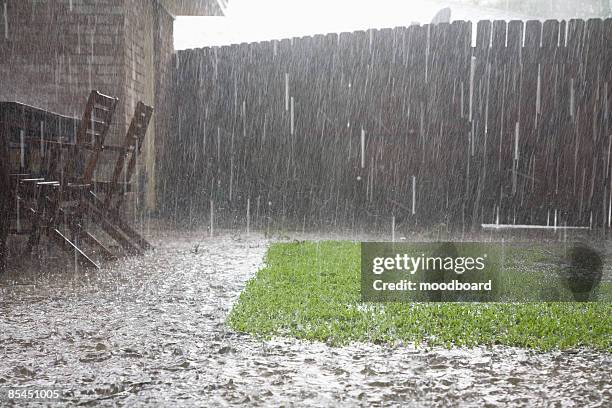 heavy rain in backyard - rain garden stock pictures, royalty-free photos & images