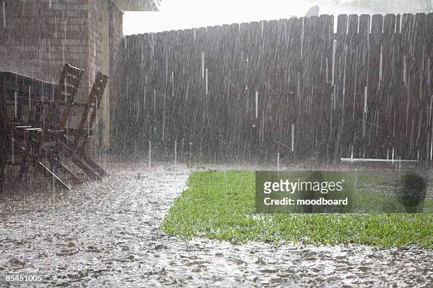 heavy rain in backyard - chuva imagens e fotografias de stock