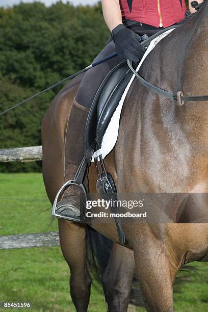 female horseback rider sitting on brown horse, cropped - stirrup stock pictures, royalty-free photos & images