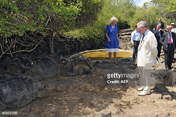 Britain's Prince Charles and his wife, the Duchess of Cornwall, Camilla Parker Bowles , observe giant turtle during a visit to the Charles Darwin...