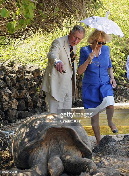 Britain's Prince Charles and his wife, the Duchess of Cornwall, Camilla Parker Bowles, walk next to a giant turtle during a visit to the Charles...