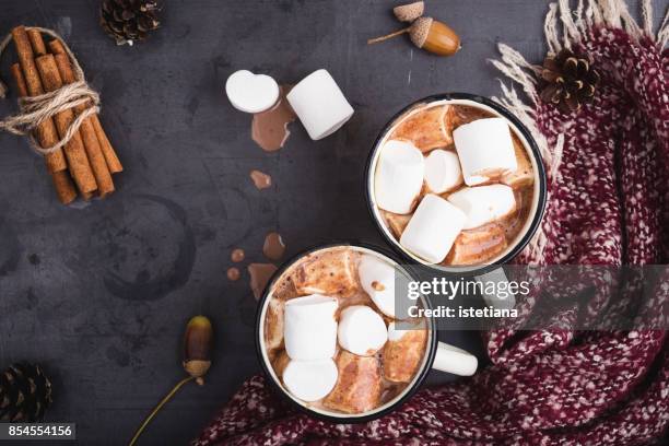 hot chocolate served in vintage  mugs with marshmallows - marshmallow stock-fotos und bilder