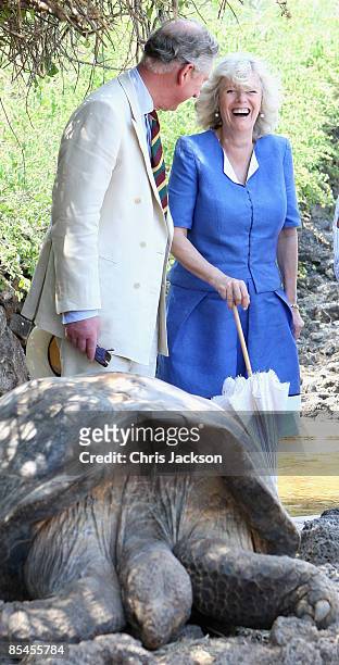 Prince Charles, Prince of Wales and Camilla, Duchess of Cornwall meet giant tortoises during a tour of the Darwin Research Station on Santa Cruz...