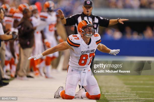 Seth DeValve of the Cleveland Browns reacts after dropping a pass against the Indianapolis Colts at Lucas Oil Stadium on September 24, 2017 in...