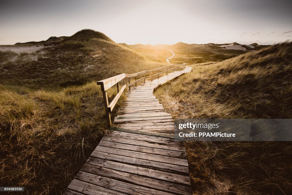 Camino a través de las dunas