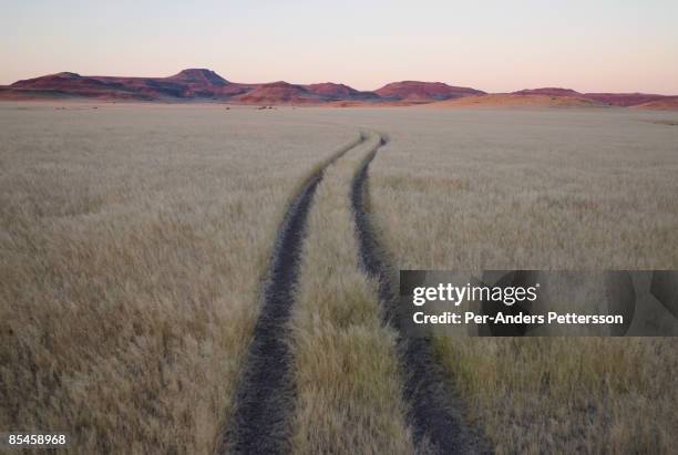 tracks in etosha national park. - etosha nationaal park stockfoto's en -beelden