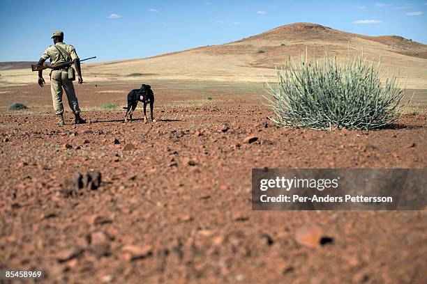Desit Ranger 372 Desert Ranger Stock Photos, High-Res Pictures, and Images - Getty ...