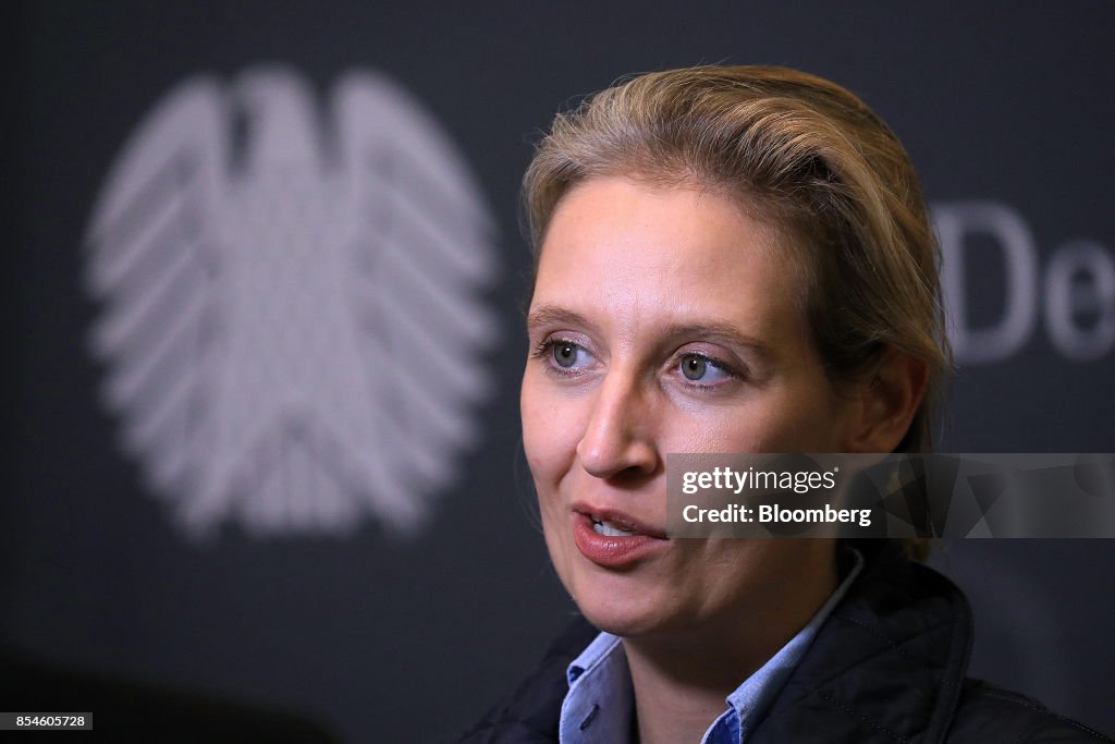 Alternative For Germany News Conference Following Caucus Meeting