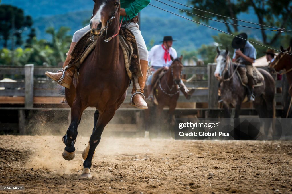 Rodeo - Brasilien (Rodeio Crioulo)