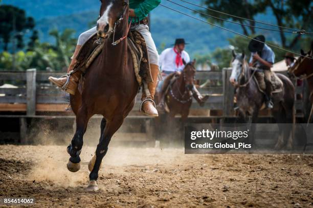 rodeo - brazil (rodeo crioulo) - gaucho stock pictures, royalty-free photos & images
