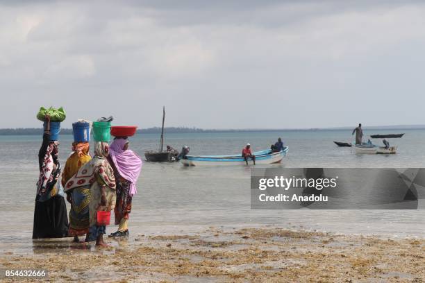 Tanzanian women carry buckets on their heads in Zanzibar, Tanzania on September 26, 2017. Tanzania's semi-autonomous archipelago of Zanzibar was the...