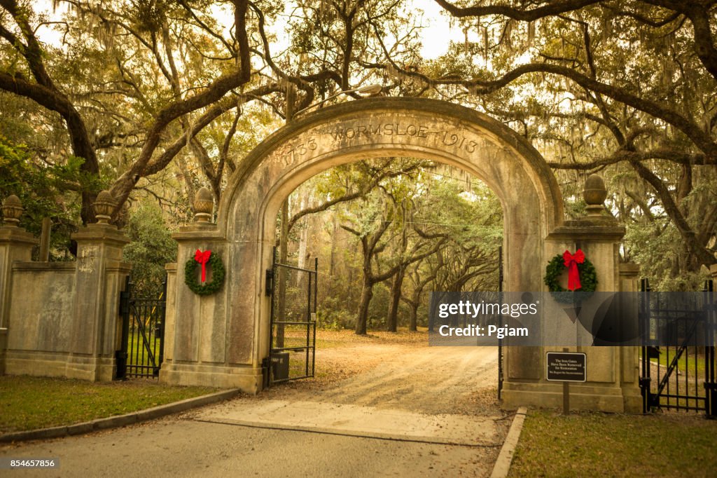 Wormsloe historiska plantage Savannah, Georgia USA