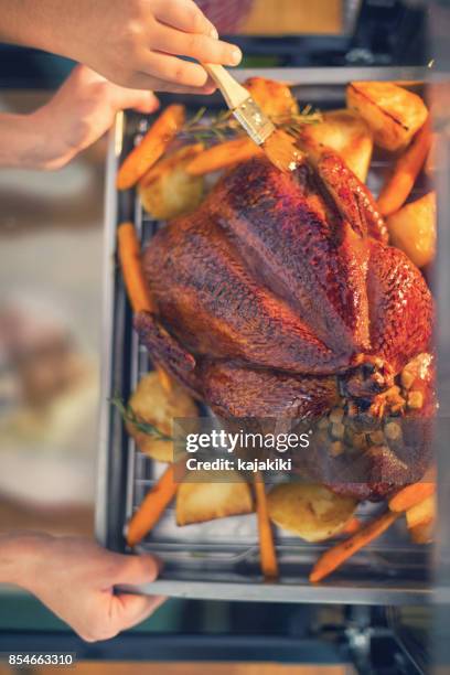 preparing turkey for thanksgiving dinner - basted stock pictures, royalty-free photos & images