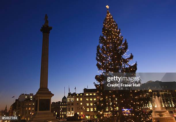 christmas tree in trafalgar square, london - trafalgar square fotografías e imágenes de stock