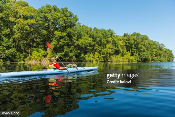 kajakken in de cacao-lagune - mangroves stockfoto's en -beelden