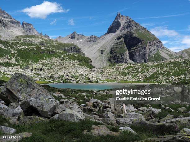 view of the white lake (lago bianco), alpe veglia natural park - veglia stock-fotos und bilder