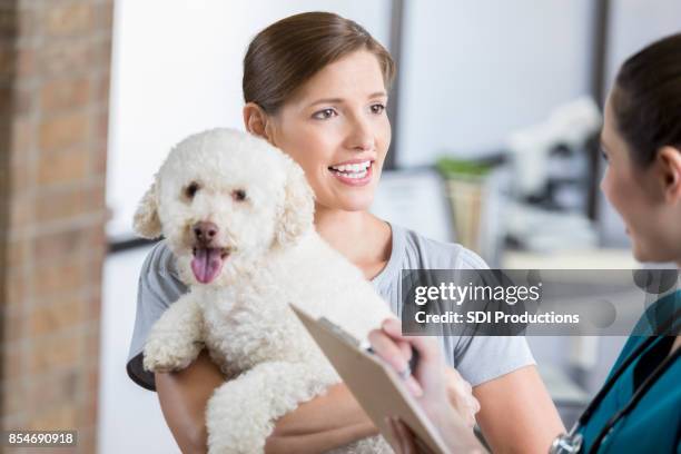 dog owner holds dog while receiving bad news at the vet - receiving treatment concerned stock pictures, royalty-free photos & images