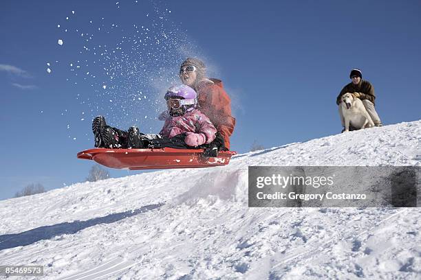 mother and daughter go off jump on a sled - dog looking down stock pictures, royalty-free photos & images