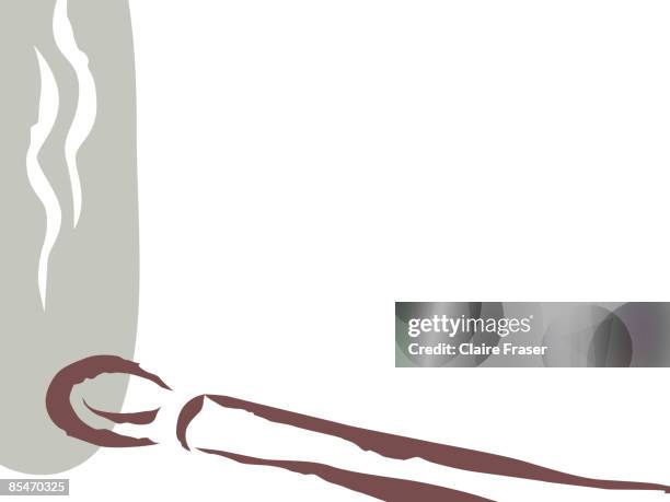 a burning match - burnt matchstick stock illustrations