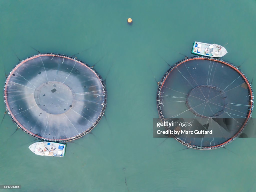 Salmon Farm off of Seal Cove, Grand Manan, New Brunswick, Canada