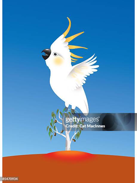 ilustrações, clipart, desenhos animados e ícones de a cockatoo bird in a tree - ave do paraíso planta