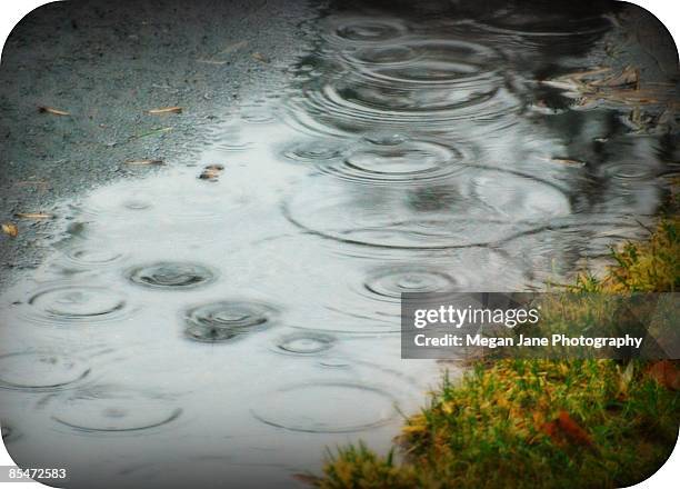 raindrops falling into puddle - megan rain stock-fotos und bilder